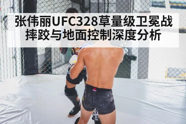 cage clinch grappling MMA