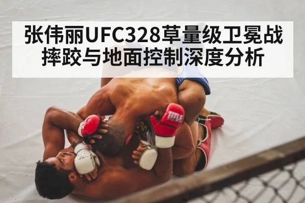 MMA ground control top position